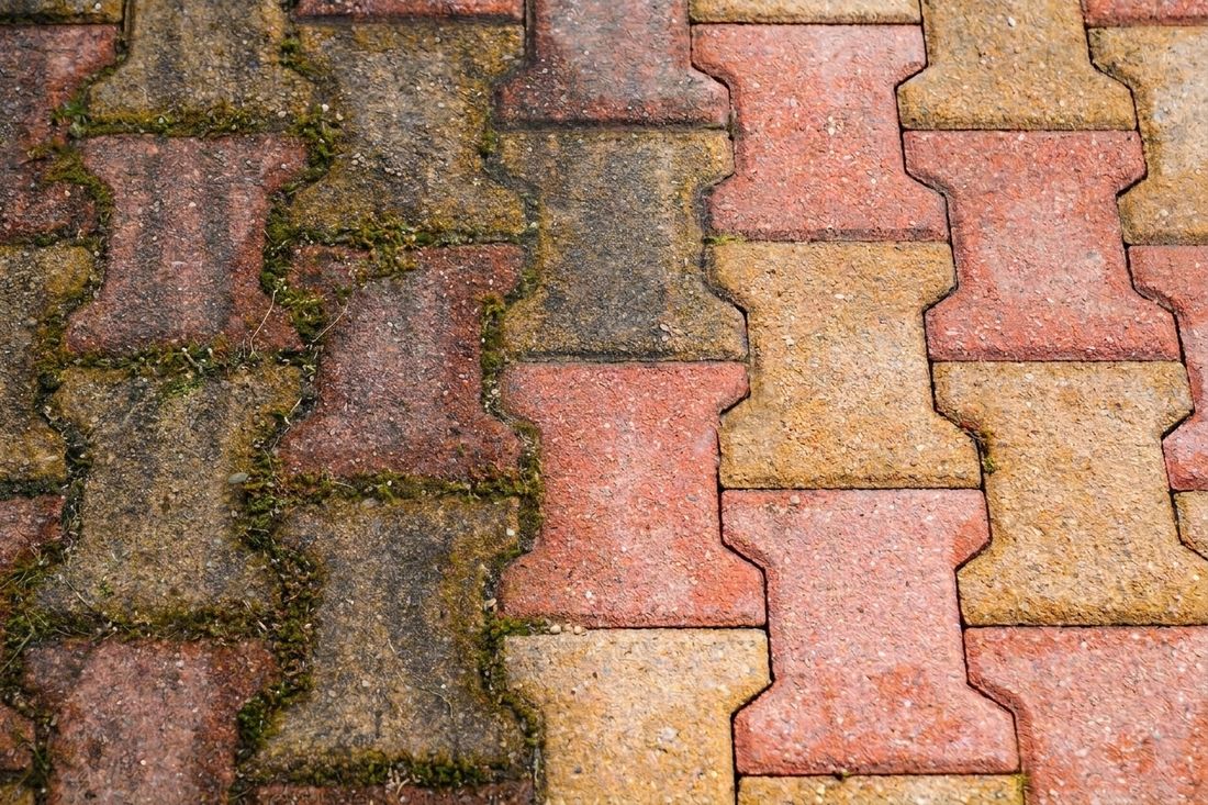Allée pavée avant et après démoussage